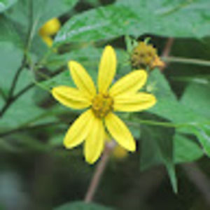 Meet your Posher, Teresa